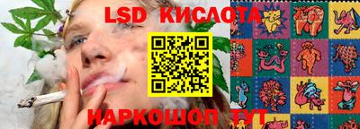 гашик Гусев