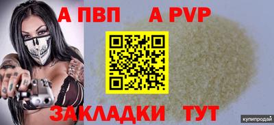 гашик Гусев