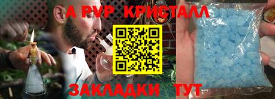 индика Гай